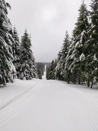 Photo de Falkengraben
