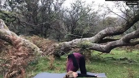 Photo de Yoga Days on Dartmoor