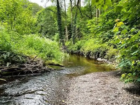 Photo de Mullinhassig Wood & Waterfalls Aghavrin
