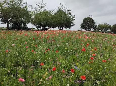 Photo de Vesey Park Public Open Space