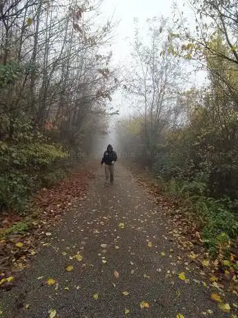 Photo de Tracciato dell'Acquedotto Carolino - Via Francigena