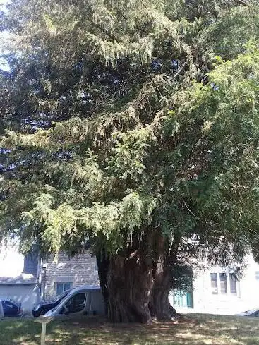 Photo de Tour d'Yvignac