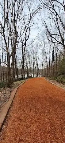 Photo de Belgrad ormanı