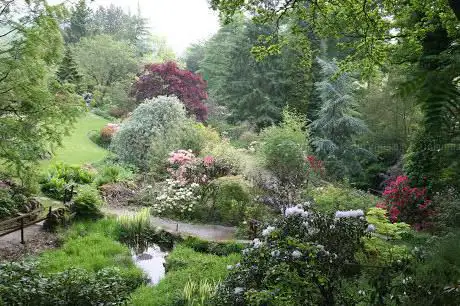 Photo de Dunge Valley Gardens