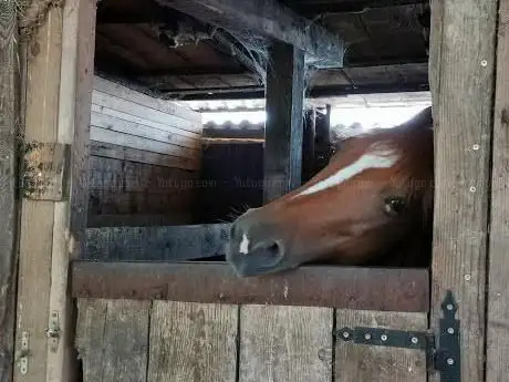 Photo de CavalchiAMO