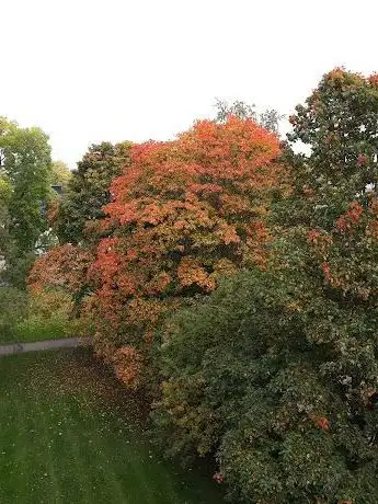 Photo de Klockgjutarparken