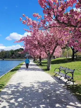 Photo de Brookline Reservoir Park