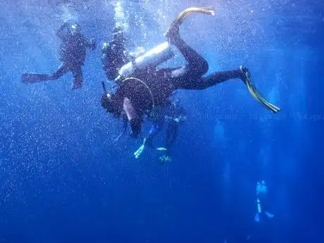 Photo de Orca Dive Club Wadi Lahmy Azur