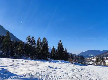 Photo de Tarvisio Alpin Coaster