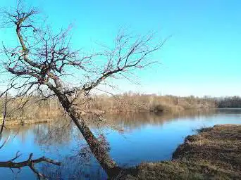Photo de Parc De Fontenay Le Vicomte