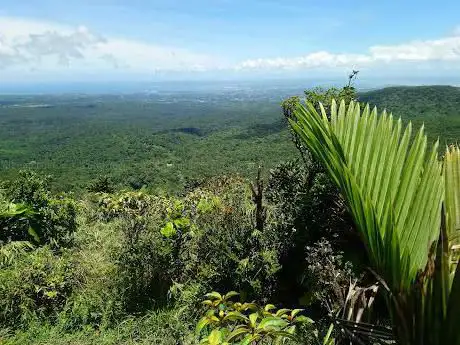 Photo de Hiking in Guadeloupe : Les Mamelles of Petit-Bourg