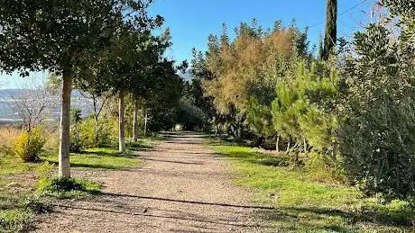 Photo de Gaida Mini Bike Park