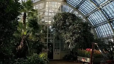Photo of Großes Palmenhaus Schönbrunn
