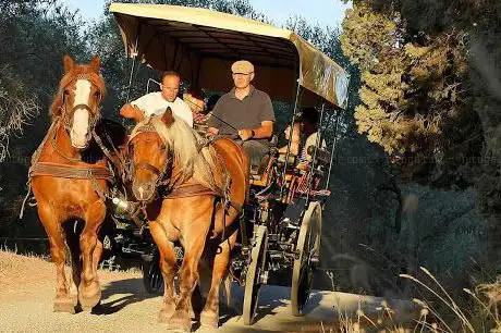 Photo de SCUDERIA PODERE CATALINI