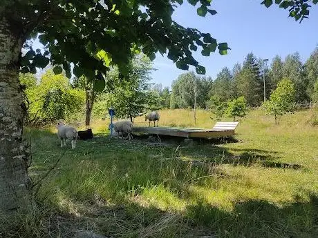 Photo de Katrineholms discgolfbana