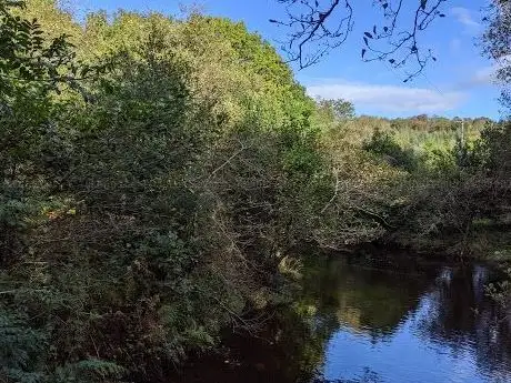 Photo de Rossacroo Forest