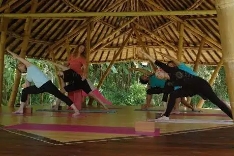 Photo de Art of Yoga