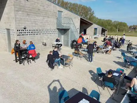 Photo de Pingie