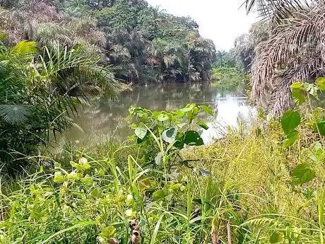 Photo de Abadaba Lake