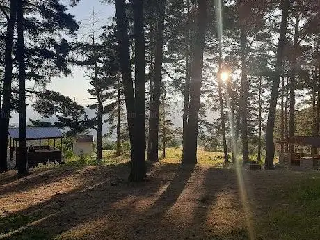 Photo de Şırankes Mesire Alanı