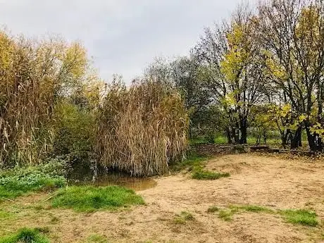 Photo de Wasser Griesheimer Düne