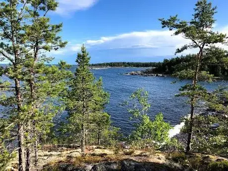 Photo de Tullviksbäcken Nature preserve