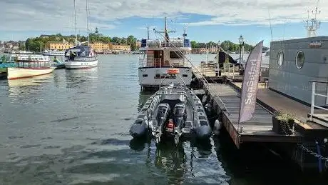 Photo de SeaSafari RIB Charter & Events