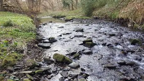 Photo de Thunder Bridge Meadow