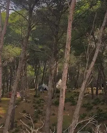 Photo de Forêt Nakkata