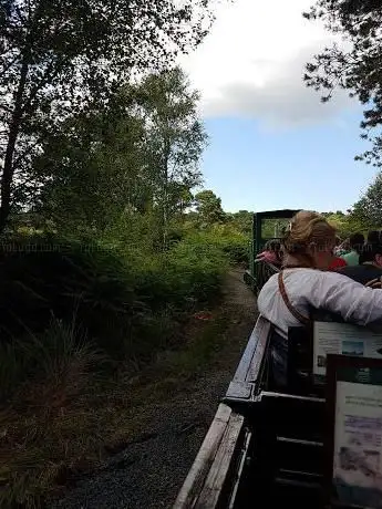 Derryadd Lough - Peatlands Park