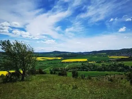 Photo de Dörnberg Nature Reserve