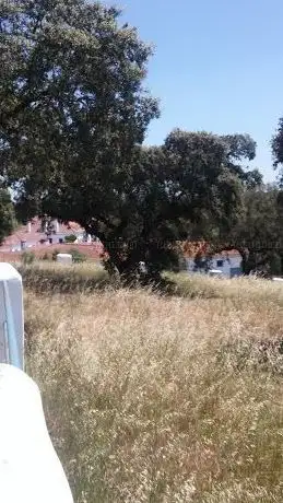 Photo de Capela de Santo Antóno