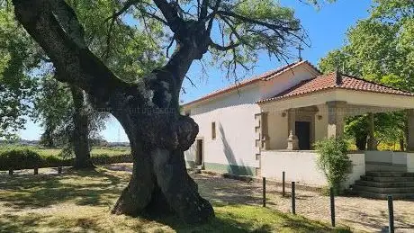 Photo de Ermida Santa Apolónia