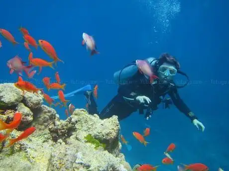 Photo de RicoDiving