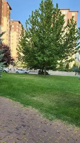 Photo de Kutlu Doğum Parkı