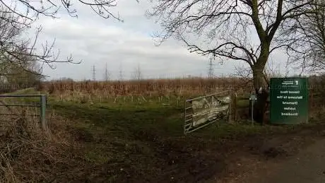 Photo de Soar Lane Diamond Wood