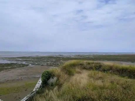 Photo de Réserve Naturelle de Moëze-Oléron