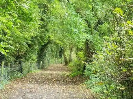 Photo de The Warren Way