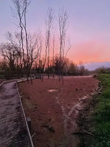 Photo de Parc de l'Estey