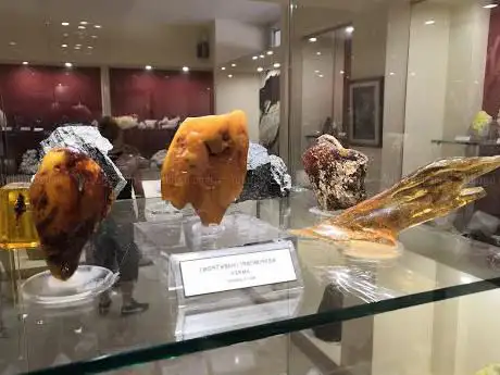 Photo de ÎœÎ¿Ï…ÏƒÎµÎ¯Î¿ Î£Ï„Î±Î¼Î±Ï„Î¹Î¬Î´Î· ÎŸÏÏ…ÎºÏ„Î¿Î»Î¿Î³Î¯Î±Ï‚ ÎºÎ±Î¹ Î Î±Î»Î±Î¹Î¿Î½Ï„Î¿Î»Î¿Î³Î¯Î±Ï‚