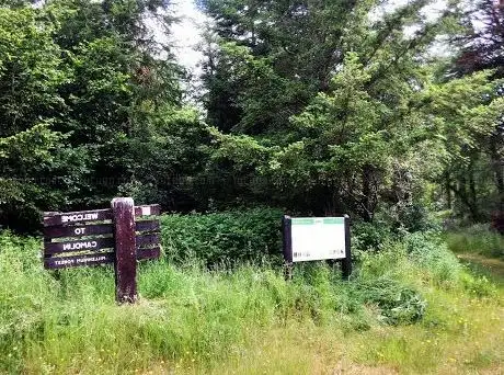 Photo de Coillte Millennium Forest