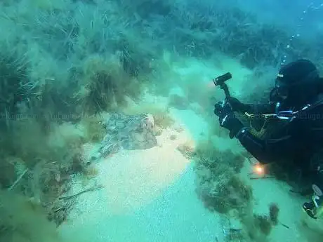 Photo de Ictinio Diving Center