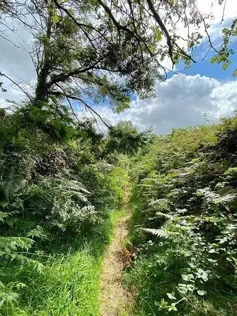 Photo de Blackstairs Mountain Trail - Start