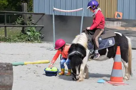 Photo de The Poney Magique
