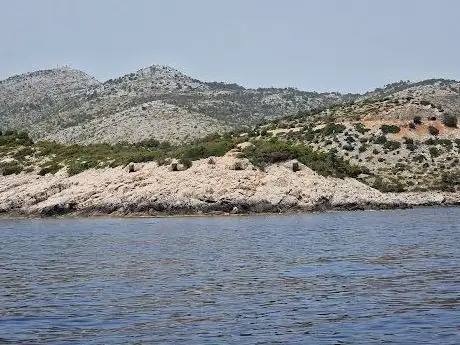 Photo de Bunker & Cannons