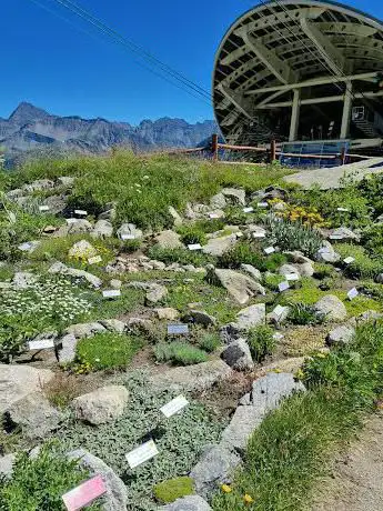 Photo of Jardin botanique alpin Saussurea