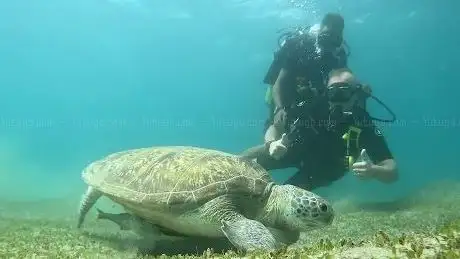 Photo de Scuba World Divers - Amarina Jannah Resort & Aqua Park