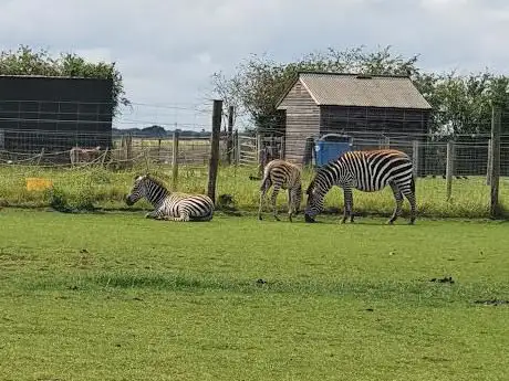Photo de Hamerton Zoo Park