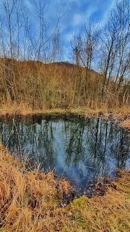 Photo de Endelteich  Obere Donauinsel