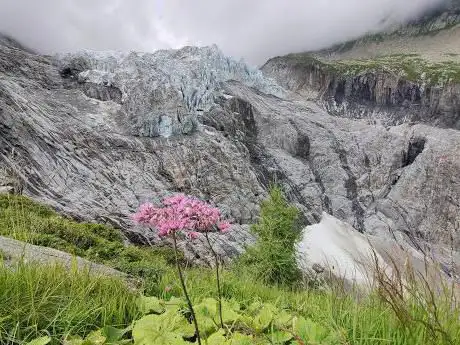 Photo de la langue du glacier d'Argentiere